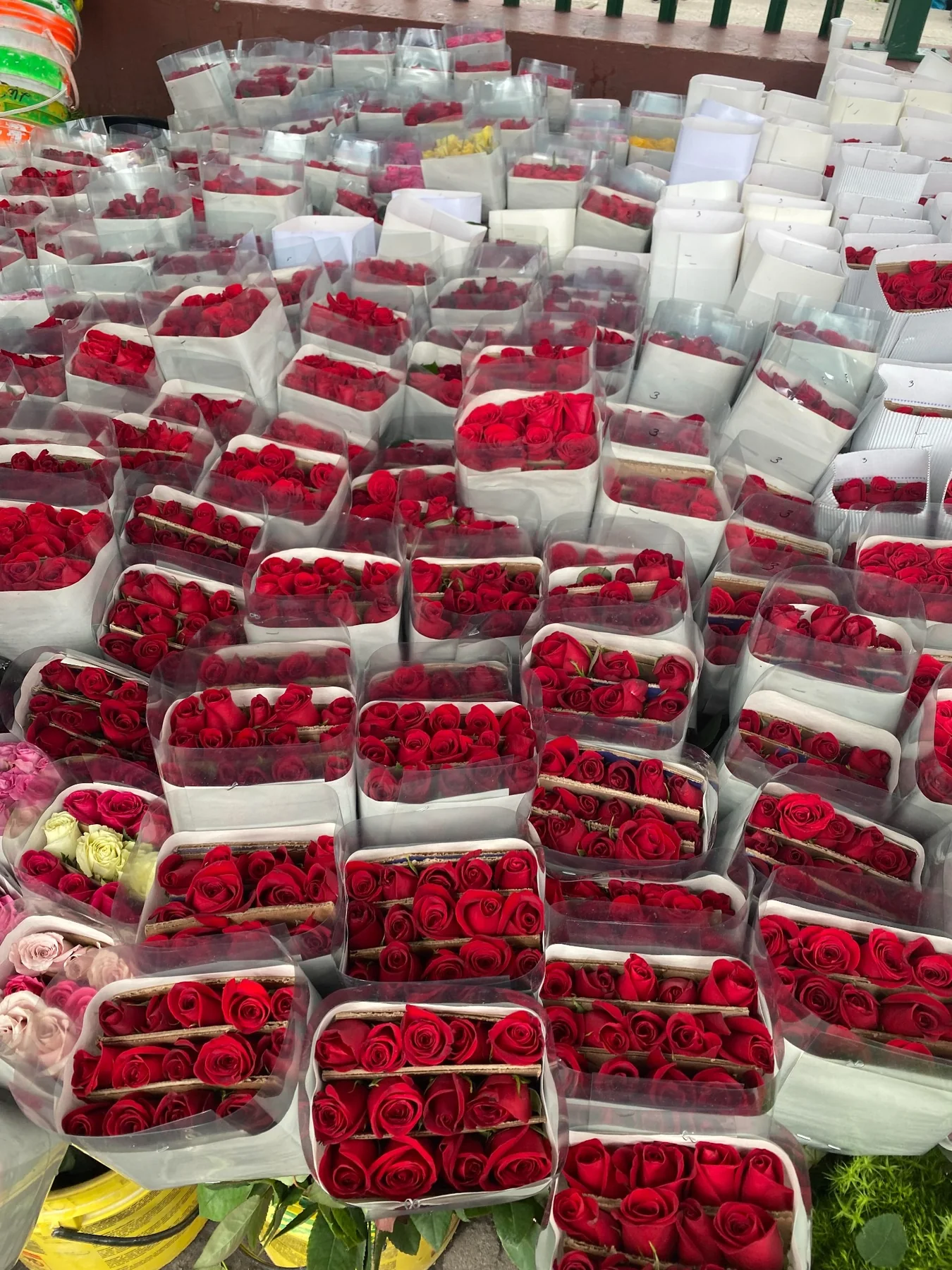 Roses at Paloquemao Market